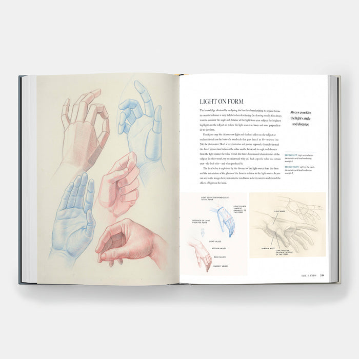 Dynamic Human Anatomy: An Artist's Guide to Structure, Gesture, and the Figure in Motion