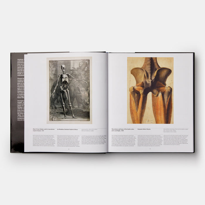 Anatomy: Exploring the Human Body