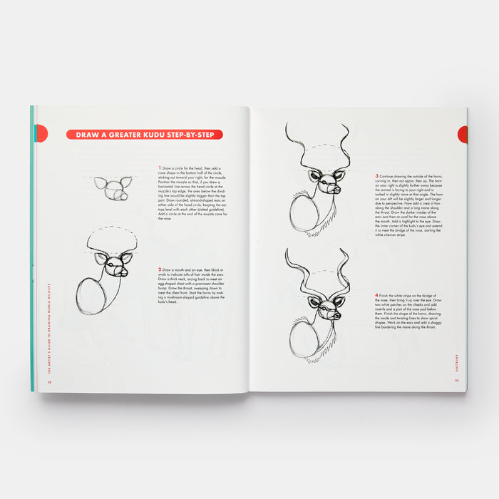 Artist's Guide to Drawing World Wildlife: Essential Step-by-Step Lessons for Beginners
