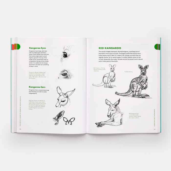 Artist's Guide to Drawing World Wildlife: Essential Step-by-Step Lessons for Beginners