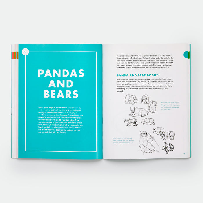 Artist's Guide to Drawing World Wildlife: Essential Step-by-Step Lessons for Beginners