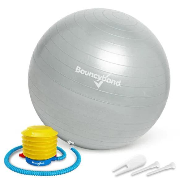 Balance Ball No-Roll Weighted Seat
