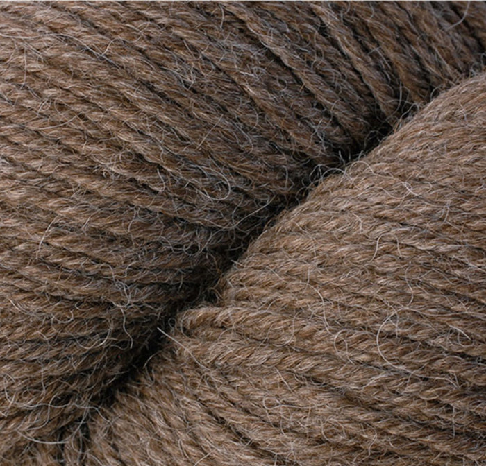 6204 Buckwheat
