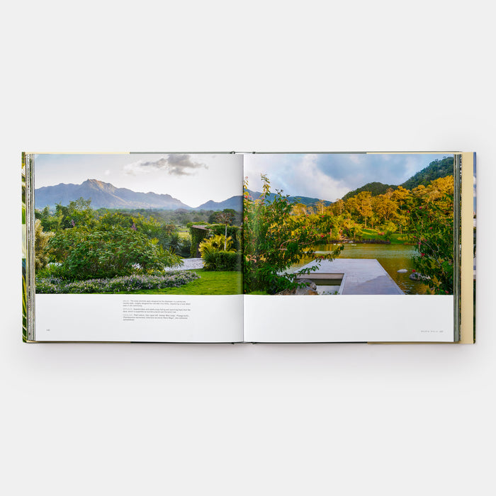 Beyond Wild: Gardens and Landscapes by Raymond Jungles