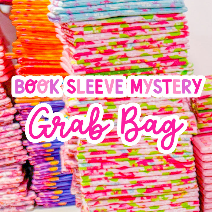 Book Sleeve Mystery Grab Bag