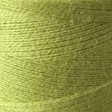 Limette Pale 4269