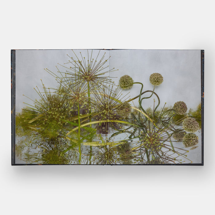 Emily Thompson Flowers