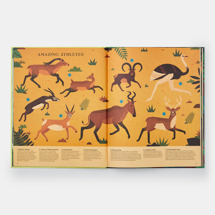 Extinct: An Illustrated Exploration of Animals That Have Disappeared