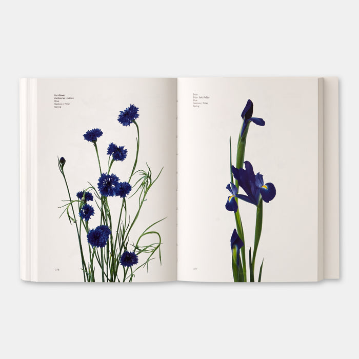 Flower Color Guide