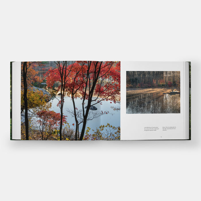 Garden Portraits: Experiences of Natural Beauty