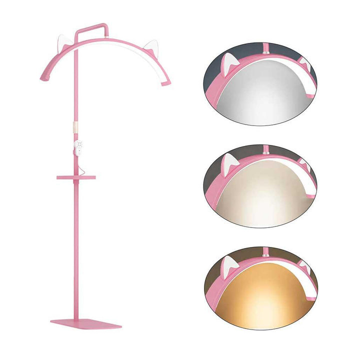 LED Half Moon Pink Floor Lamp With Cat Ears