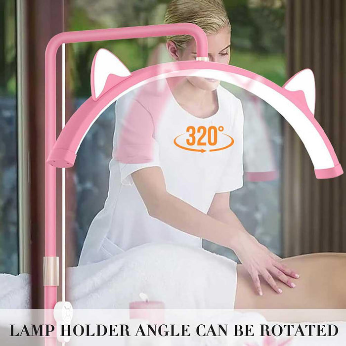 LED Half Moon Pink Floor Lamp With Cat Ears