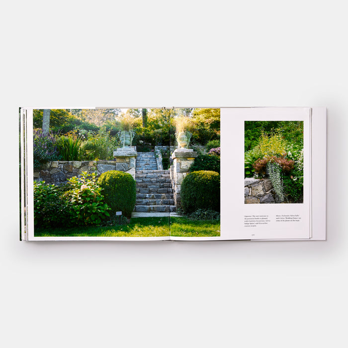 Sleepy Cat Farm: A Gardener's Journey