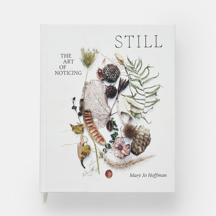 STILL: The Art of Noticing
