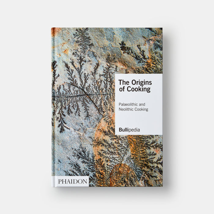 The Origins of Cooking: Palaeolithic and Neolithic Cooking