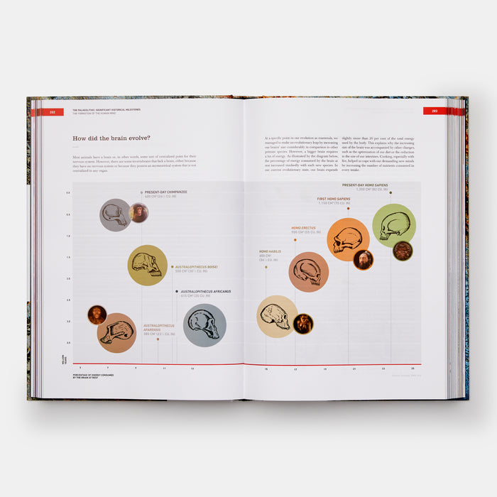 The Origins of Cooking: Palaeolithic and Neolithic Cooking